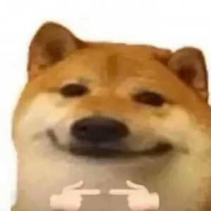 ��һ�˸��ٲ�֪������ɫ܇�ͺ�ɫ܇���ܴ��������@�ӆ���