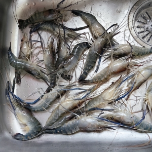 ��Ѫ������һ����ȥ�ˈ��I��һ����^�r��40Ԫһ�ԓ�����r���