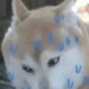 ������ǰ94�����105����(l��i)�S���ˎ���110��F(xi��n)��120���ˣ����R��Ҳ�](m��i)�X(ju��)���Լ��ж� ...