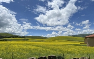 �����������{�Σ�һ�����(gu��)�Ĵ�ú�ɽ