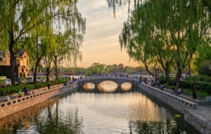 �����S���µ�ʲ�x������������Ⱦ���H