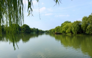 �������������������e��һ���L(f��ng)ζ