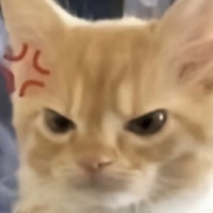 �F(xi��n)�ںö����x���֙C(j��)�͸��G�˻��Ƶģ���·�����T늄�(d��ng)܇(ch��)�����_(k��i)��܇(ch��)�����ϰ��_(k��i)�C(j��)��Ҳ����