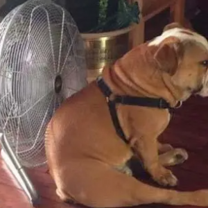 ��ҁ��f�f���F���ѽ�������������߀��ÿ���_���{�᣿���_�ßᰡ