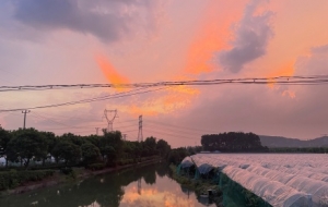 ��������ӳ��ϼ��һĨϦ����箋