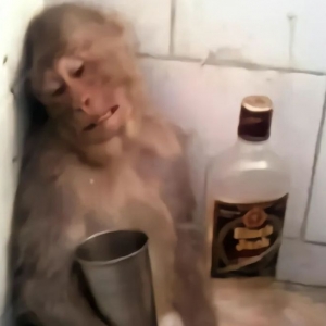 ��������İ�����У����ʧ��ӽ���ʧ�������С�W�������ЌW��؞�fС�W�ȣ��Ҹ��X��Щ ...