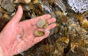 �_�������һ�����У�ͽ���Ǹߴ�ɽ�L