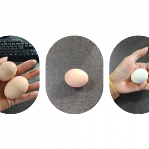 �Ĳ��������Ч�������������ӵ���ô��