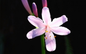 �򿨴�򹫈@�ı˰�����������������