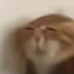 ���������w�̘Iͦ�D�y�ģ�ɽķ�Ƃ}������o�������_������С