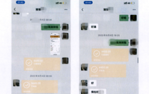 ��ꎣ��Ȧ����p�_300���f���@��