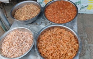 ������ͨ��̽����悵��[������