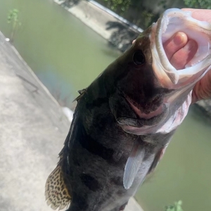 ·��������ã�ˮ���~���L����ʲô����~