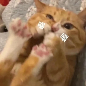 ��߅С݅���Y�������ׂ���������_ʼ���N���������N�ӗ�С݅������