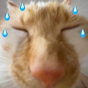 늄�܇�����������������F���ȁ��b؛����Ȼ�ǵε��܇����ǰ�еε��b؛���܇�������b ...