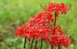 �˰���������ʯ�o�������κΘ��^�y����