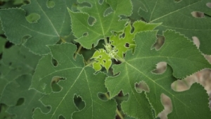 �֙C(j��)���΢������ƽ����С�ݟ��l(f��)���o������