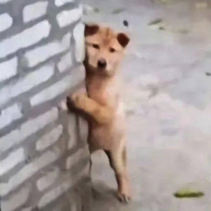 ���Ѽҵ��L݅��ȥ����һ�׺������������������������������Ů����ٝͬ�@ô���᣿