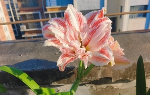 ��_����피tȫ�_�ˣ���������ɫ�G���_������