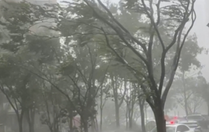 ��_�Lؐ�̼ε�����W�ь��Ę�ľ�|������