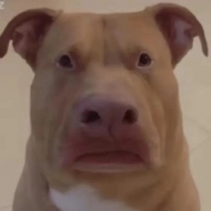 �������ϱ������8�������������a�N�ܓQһ����һ������̫�_��