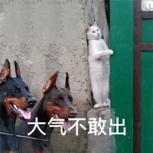 �F(xi��n)�ھW(w��ng)ُ�����הDռ�Ј���M���T������M�͵�260�����d���᣿