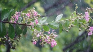 ���L+����+���أ����c���ڽ������