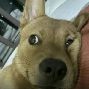 ���c������ô�@ô���Xѽ���Ҹ��XɶҲ�]�ɣ���ǧ��͛]��