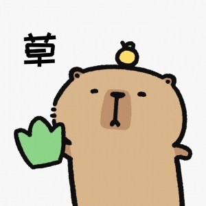 �o�Σ�����֧����؛����ô���w���ƽ�_�r��һ�ӣ�����Ҳ���ܓQ����ֻ�����J(r��n)��ù