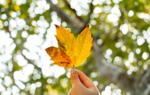 ���꣡��ĩ���Ҫ���D