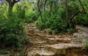 �򿨟o�a��ɽ�£���̽������ˮ�l(xi��ng)���ζ