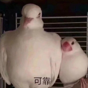 ���Ӹ���סУ߀�����x�أ�סУ�������ڌW�����ؼ���·�ϕr�g�L��ÿ��߀����˯