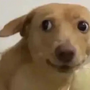 ��Щ�����Ǜ]������Ҋ��Ҳ����߅������Լ���������߀Ҫ�����e��һ���Ϯ�