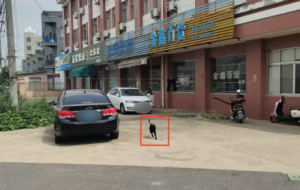 ��ꎼ����B��ע���ˣ�ץ������̎�P��