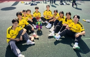 ���ӣ������Z������