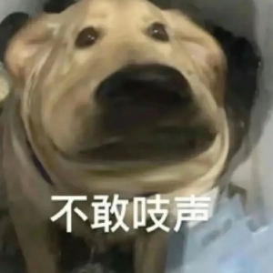 ��������������ĸ���������ҋ�ÿ�춼Ҫ��һ�飺��������ʲô����ʲô�r��������