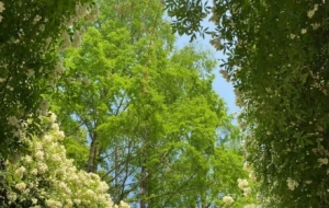 ���������죡ϲ�ģ�^����һ�N���x�ĺ�