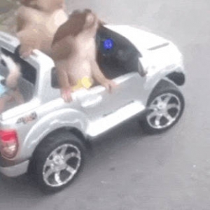 �pɫ������20������ҪՈ�H�ݳ�᣿