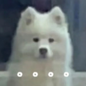 �@��Ҫֱ�ӵ������ˆ᣿���˼�����+���m�q�L���r������Ȼ�X������