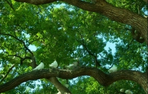 ����һ�ģ���ľ�����[�[��ꖹ⴩�^�ӌӯB�B