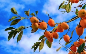 ��ĩ������@���������������~