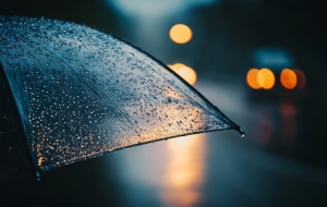 �{ɫ�A������ꎌ�ӭ�󵽱���