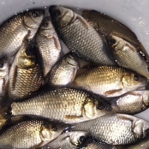 ҹ��՗U���ի@�M�M���治�e