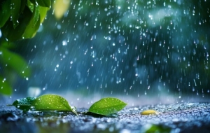 ��ꎆ��ӷ�Ѵ��������푑���