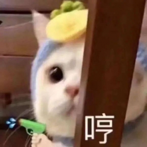 �����Լ���ǰȥ�Ϻ��l�����£��o�Ҹ��X�����Ϻ�һ�c��������