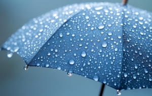 ��(qi��ng)�������_�L(f��ng)���ܶ��ε��