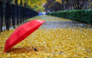 ��(qi��ng)��՚���ˣ�����E��8��