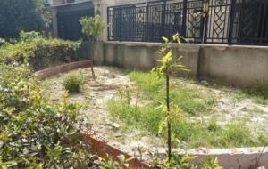 �������e��(b��o)��2�𣡽�ꎇ�(y��n)��