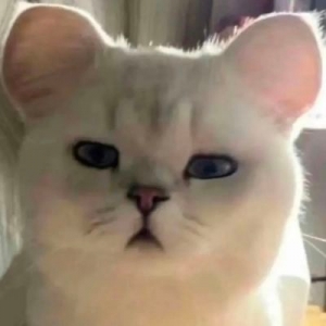 �`��������Ƭ�����S����ҲҪ̎�P�᣿�ܲ������V��