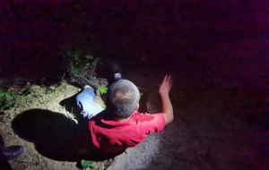 �@��������Ԯ��̫ů��